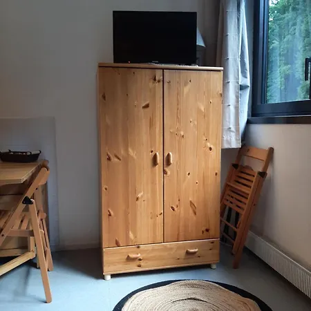 Studio 19 M2 A Louer Au Mont-Dore Exterior foto