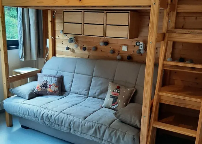 Studio 19 M2 A Louer Au Mont-Dore