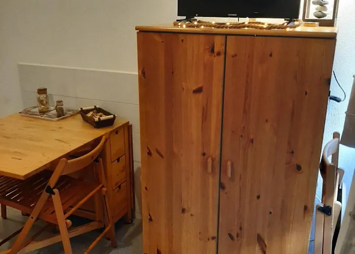 Studio 19 M2 A Louer Au Mont-Dore