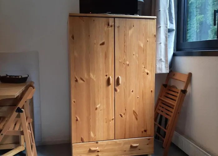 Studio 19 M2 A Louer Au Mont-Dore