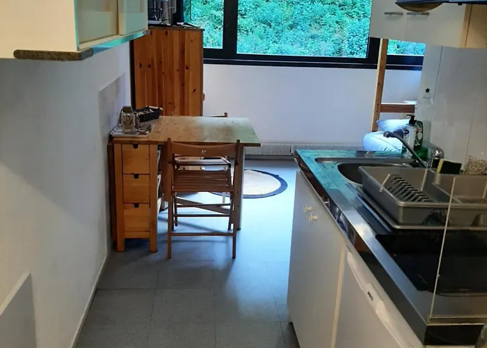 Studio 19 M2 A Louer Au Mont-Dore